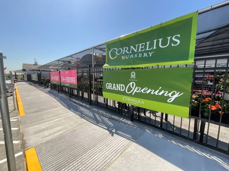 warwick construction cornelius spring tx