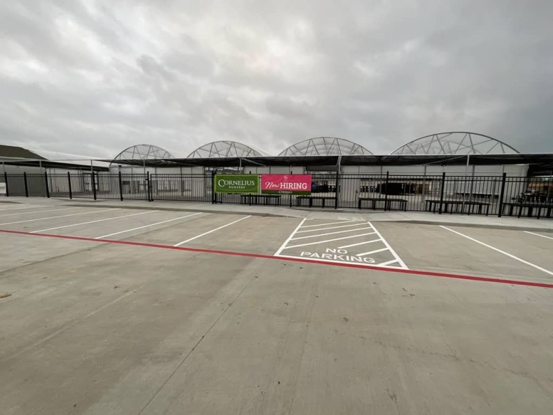 warwick construction cornelius spring tx