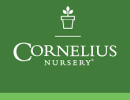 cornelius